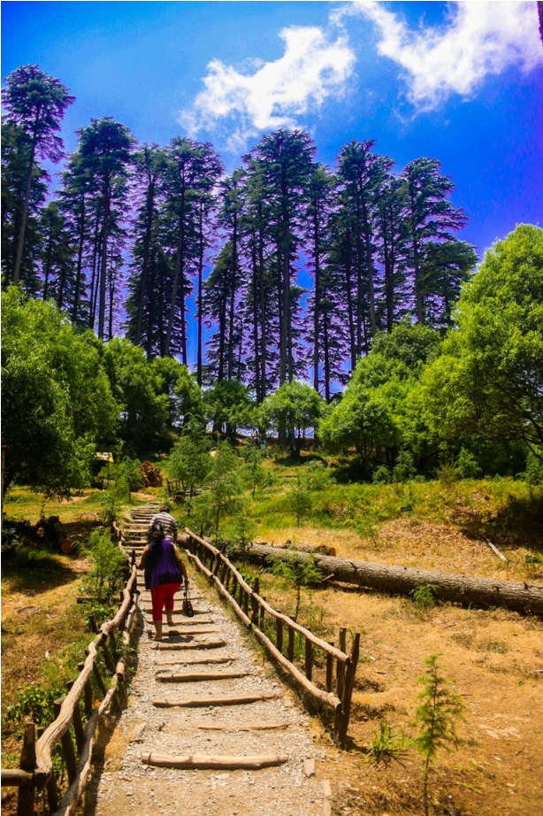 Kaudia Forest Kanatalff